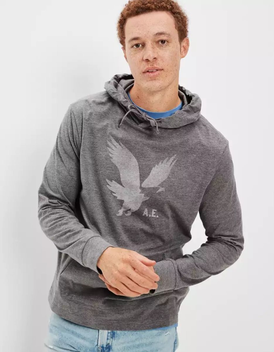 Sweat à Capuche American Eagle AE Super Soft Logo Graphique Grise Homme | UKJ-19418835